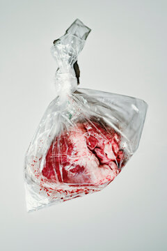 Real heart in a Clear Plastic Bag is Suspended From Above