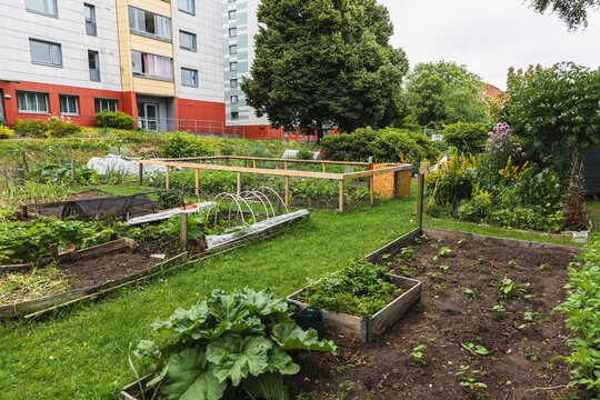 Community urban garden with raised wooden beds in residential area