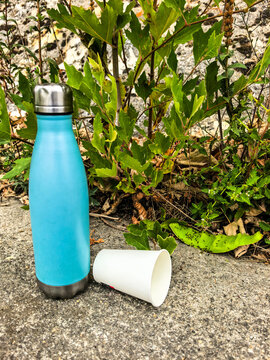 Black ants eating melon peel near a reusable bottle in a garden setting