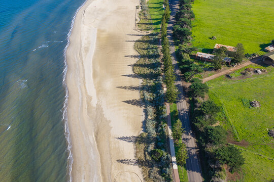 Pine trees casting long shadows over a deserted sandy beach