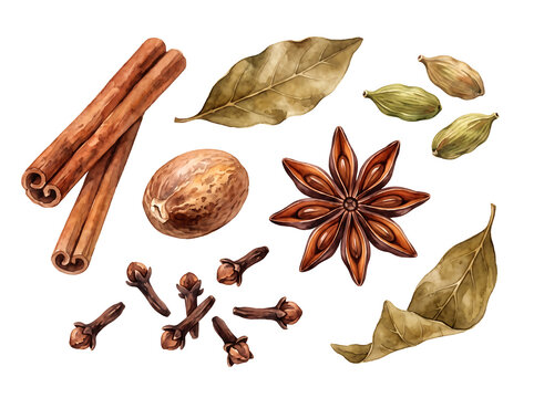 Aromatic whole spices including cinnamon, star anise, and cloves sit on transparent background.