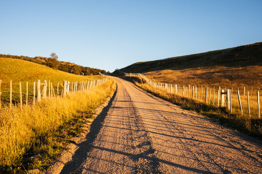 Gravel Road Through Golden Hills