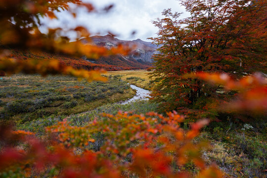 Fall Colors Framing Patagonian Valley