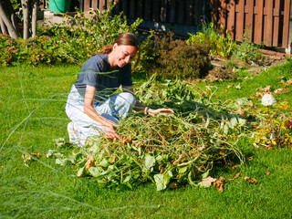 Woman clearing plant debris from a backyard garden © Olesia Basova