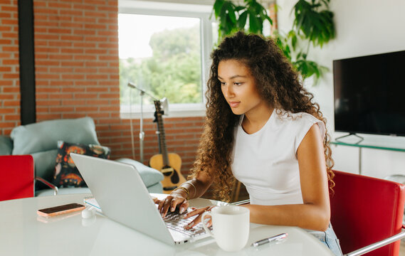 Woman Typing Laptop In Living Room