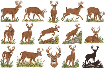 Obraz premium Deer Cartoon Character Set with Buck, Antler and Silhouette in Grazing, Running and Standing Poses, Wildlife Vector Illustration