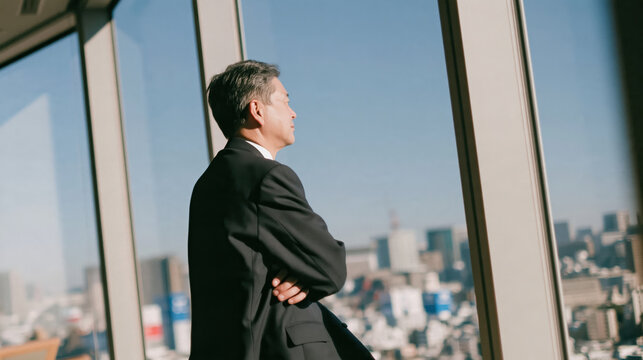 Confident senior executive standing beside window overlooking city skyline with thoughtful professional expression