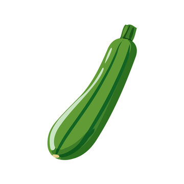 Minimal 2D flat vector of a Zucchini, icon-style illustration on a white background