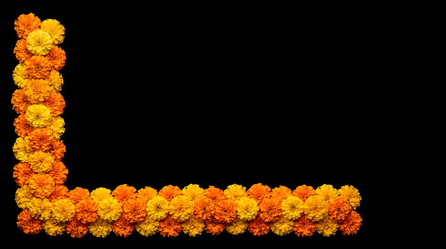 Vibrant yellow and orange marigold flowers arranged in an l shape border on black background