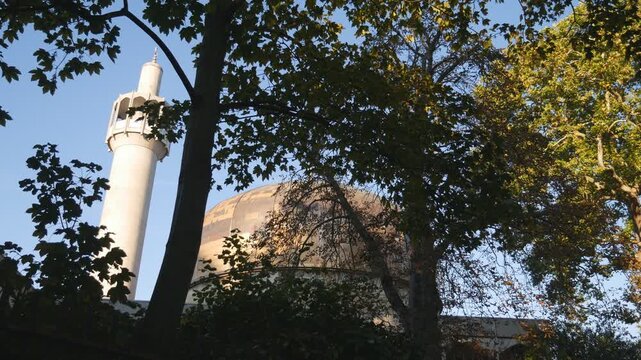 A mosque minaret and dome&nbsp;through tree branches.&nbsp;