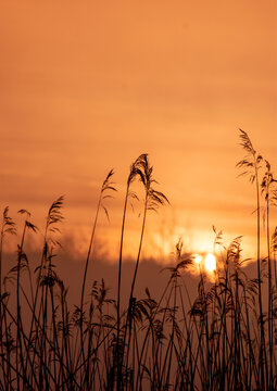 Fajr sunset