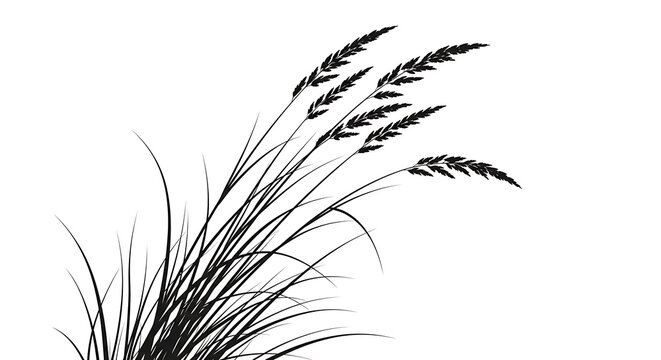 Black and white ink drawing of wild grass plant