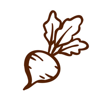 Hand drawn beetroot with leafy tops in warm brown line art, isolated on white background for autumn harvest, gardening, farming and healthy food themes.