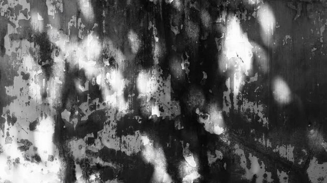 Deteriorated monochrome wall surface with peeling paint, dark stains, and weathered texture, featuring abstract shadows of tree branches and leaves, illustrating moisture damage,