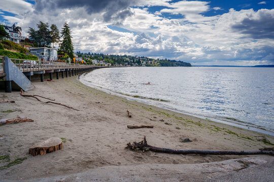 Washington Shoreline Boardwalk