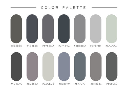 Minimalist grey color scheme vector illustration with color codes for branding.