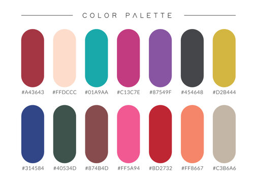 Vibrant multicolor palette vector with HEX codes for graphic design.