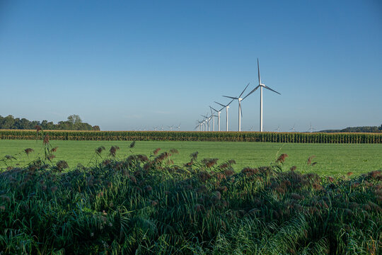 Wind farm with multiple turbines in grassy field under blue sky