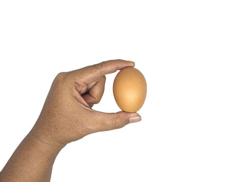 Hand holding a raw brown chicken egg with fingers isolated on transparent background for food concept.