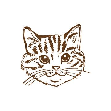 Cats head. Pet portrait, logo, icon. Vector isolated outline illustration. Sketch. Line art clipart.