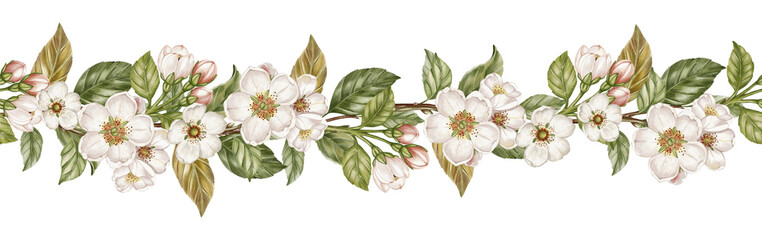 Fototapeta premium Watercolor vintage pear blossom border with white flowers, pink buds, green and gold leaves. Cottagecore floral frame for nursery decor, packaging, card design.
