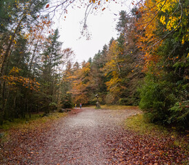 Obraz premium Beautiful and foggy valley in autumn in Ordesa National Park Pyrenees, Ordesa meadow Huesca Aragon Spain