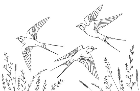 Three swallows flying over grassy plants