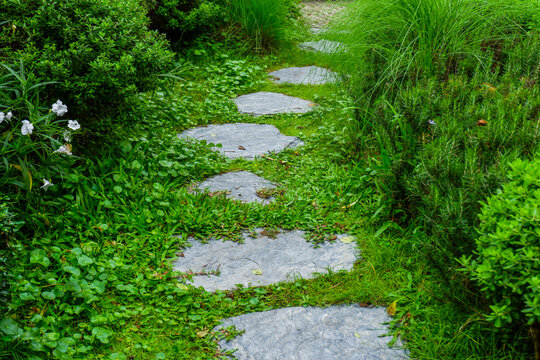 Garden landscape design with pathway in garden and footpath in picturesque summer park and staircase in backyard,Paving stones on floor in park,space for text.
