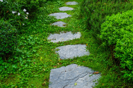 Garden landscape design with pathway in garden and footpath in picturesque summer park and staircase in backyard,Paving stones on floor in park,space for text.