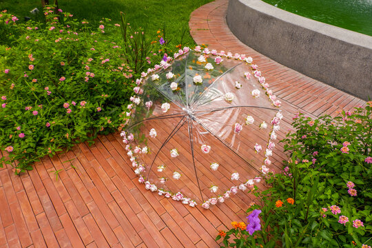 Beautiful Umbrella with flowers in the garden,rain and sun weather on a warm autumn or sumemr day,umbrella under heavy fall shower,Stormy rainy weather season concept.
