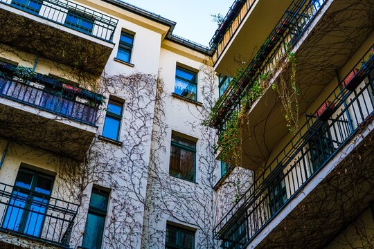 Apartment building balconies with ivy vines