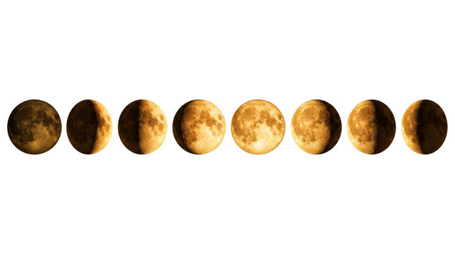 Golden moon phases sequence on white background, lunar cycle progression, celestial astronomy chart with orange moon spheres