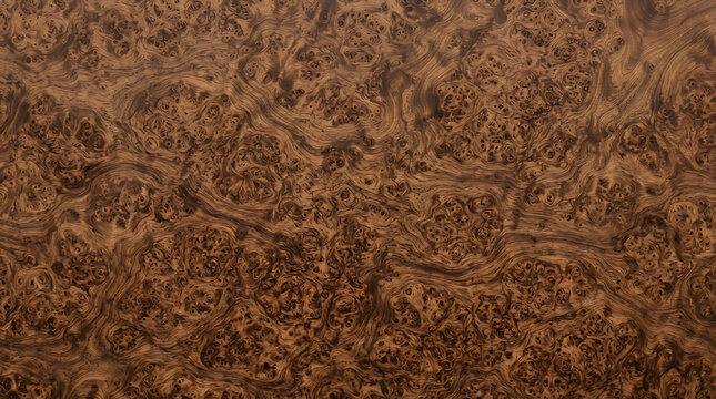 Rich Walnut Burl Wood Grain Texture, Natural Organic Pattern, Warm Brown Wood Veneer Background, Luxury Material
