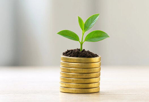 Golden coins stack with a green plant growing out as financial success vector