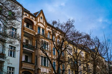 Fototapeta premium Ornate apartment buildings with bare trees