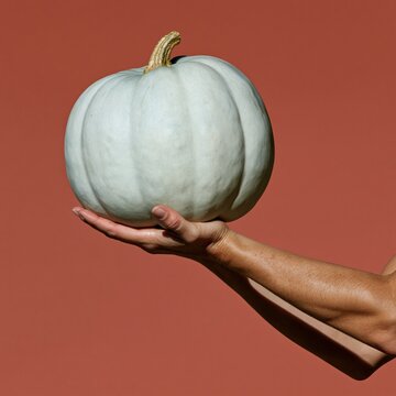 Pale blue winter squash held in a persons hand against a terracotta background, a clean minimalist mockup for autumn harvest and decor