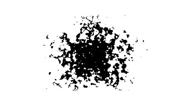 Ink Drops Transition on White Background, dripping slow motion spot ink fluid drops, flows and streams, Ink bloom, artistic ink splatter splash effect 4K 3D Animation