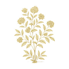 Obraz premium PNG Elegant golden floral illustration