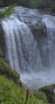  Summer landscape at the Casina Muta waterfalls