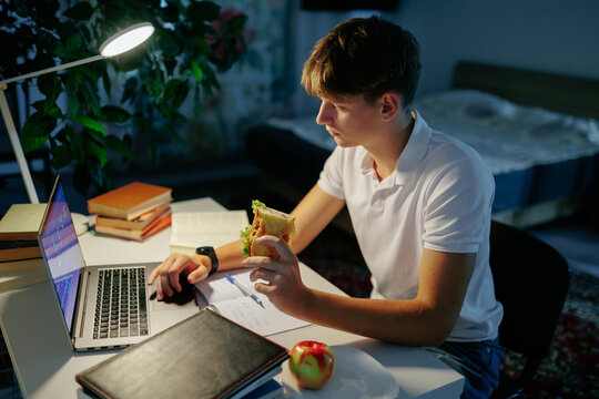 Active teen schoolboy eating a sandwich doing online academic learning.