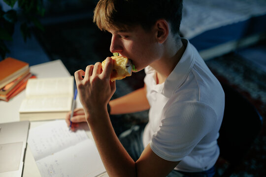 Focused teenage schoolboy eating a sandwich and doing night homework.