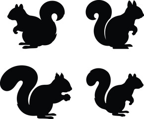 Obraz premium Squirrel silhouette vector. Squirrel outline vector icon set