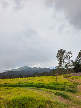Rolling green hills and mountain valley under a cloudy overcast sky with dirt path