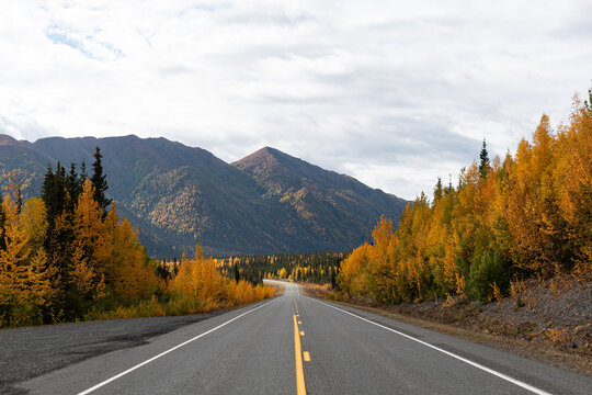 Mountain range at the end of a rural road through trees with yellow fall color under a cloudy sky