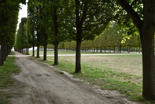 Parc en automne &agrave; Saint-Germain-en-Laye. France
