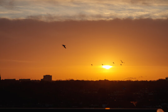 Intense orange sunset with multiple birds in silhouette over dark city skyline, prominent bird upper left, flock near sun, layered warm clouds