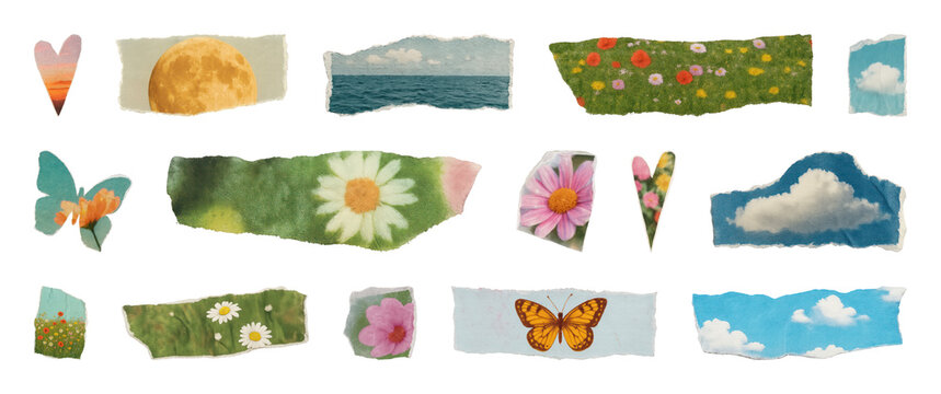 PNG Colorful torn paper collage elements on transparent background