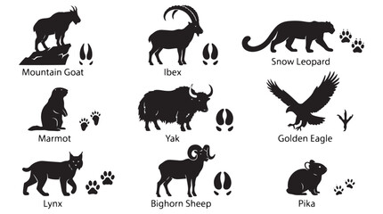 Fototapeta premium Mountain Animals Paw Prints Tracks Silhouettes Set, Wildlife vector icons set, Black nature symbols for educational charts and outdoor, leopard, golden eagle, lynx, yak, bighorn sheep, marmot, pika.