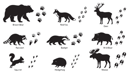 Obraz premium Forest Animals Tracks Paw Silhouettes Set, Wild animal icons with tracks, Black wildlife vector graphics for nature education, hedgehog, moose, nature, hunting, biology, education, footprints.