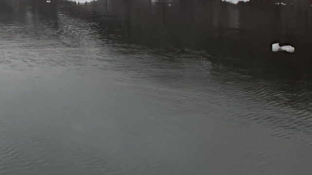 Floating ice and small ice pieces spread across dark cold water. Secondary visible features include calm conditions, with natural contrast and texture defining the frame.